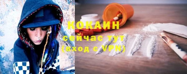 гидра Кукмор