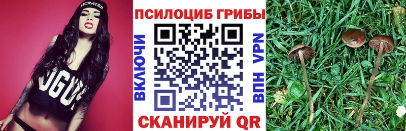 Псилоцибиновые грибы прущие грибы  Кудымкар 